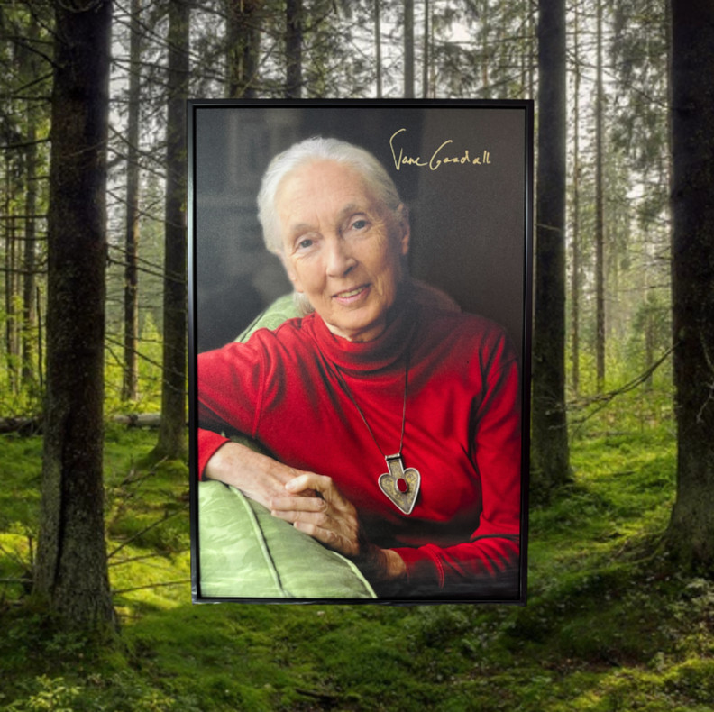 縮圖：Photo Frame With Dr. Jane's Autograph 珍古德博士親筆簽名相片