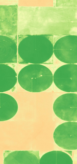 NDVI_226_sent.jpg