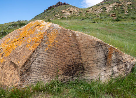 I sourced the current EPA published list of polyfluoroalkyl (PFAS) chemicals and wrote out a section on a rock in Wyoming, using charcoal. Perfluoroheptanoic acid