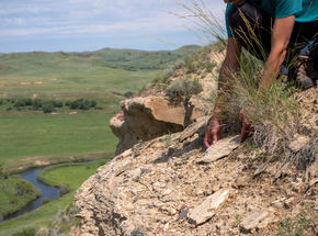I sourced the current EPA published list of polyfluoroalkyl (PFAS) chemicals and wrote out a section on a fragment of rock using plant ink I made from surrounding non-native plants. Perfluorooctanesulfonic acid