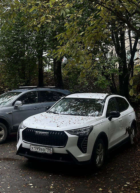 HAVAL JOLION LUXSCAPE 2.jpg