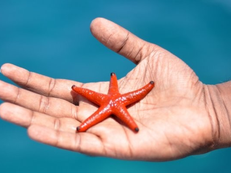 Small actions, BIG difference!