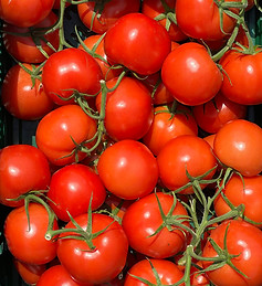 Tomatoes