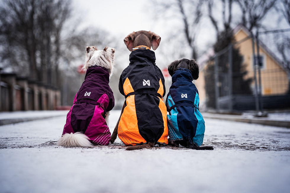 Thumbnail: Non - Stop Glacier Jacket 2.0