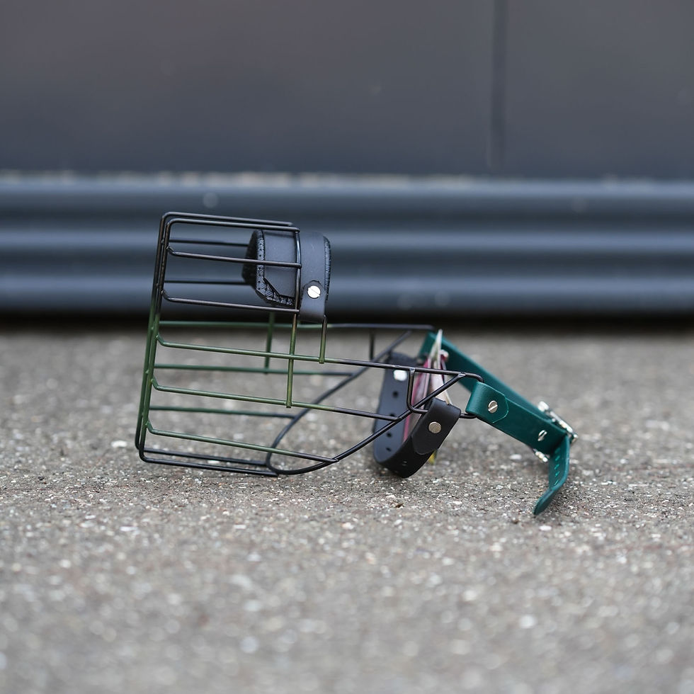 Thumbnail: Immediate sale muzzles