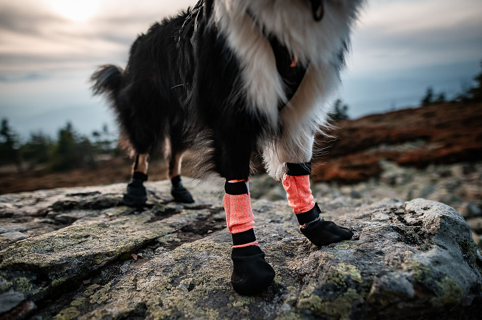 Thumbnail: Non - stop Protector bootie high