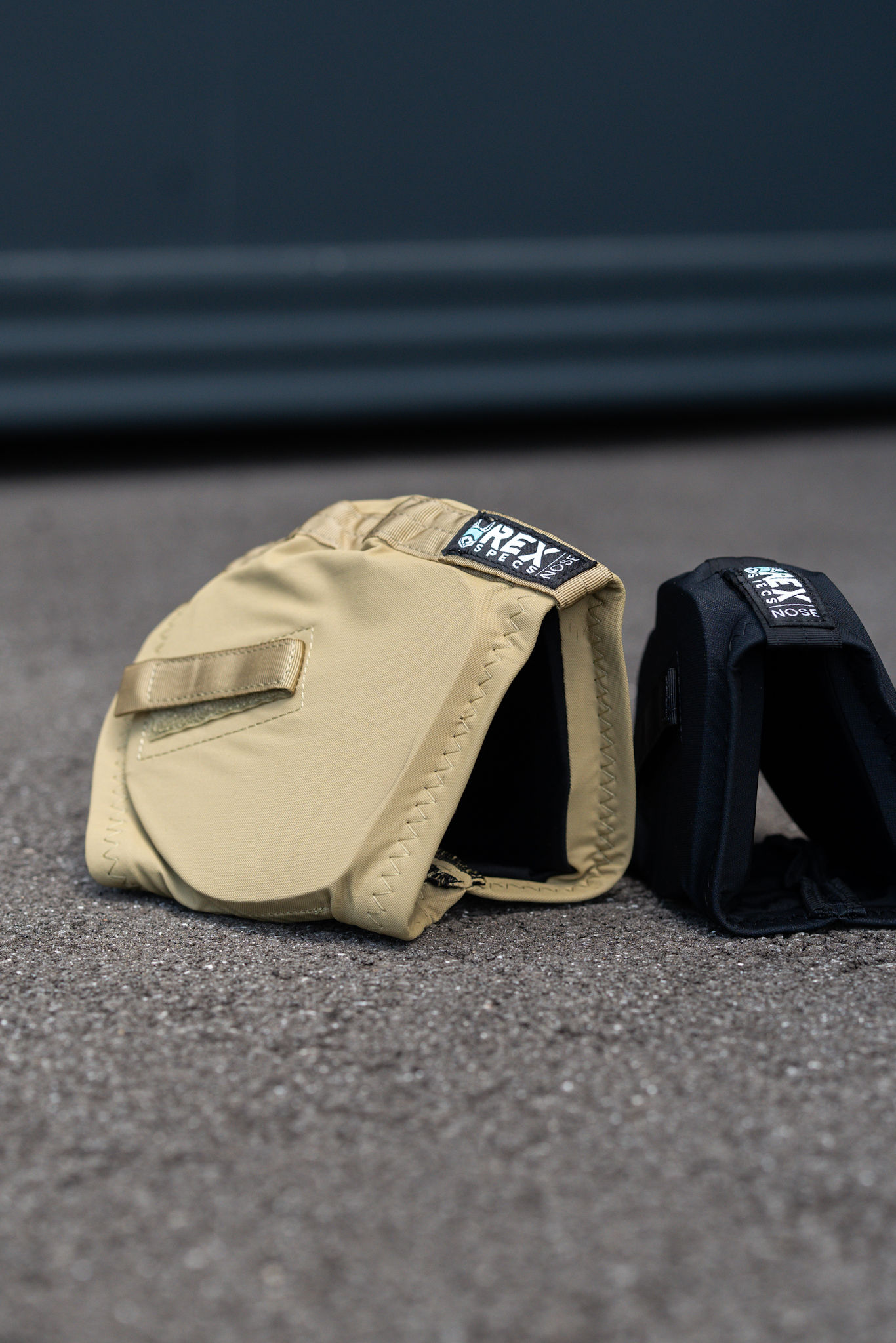 Rex Specs Gehörschutz für Hund