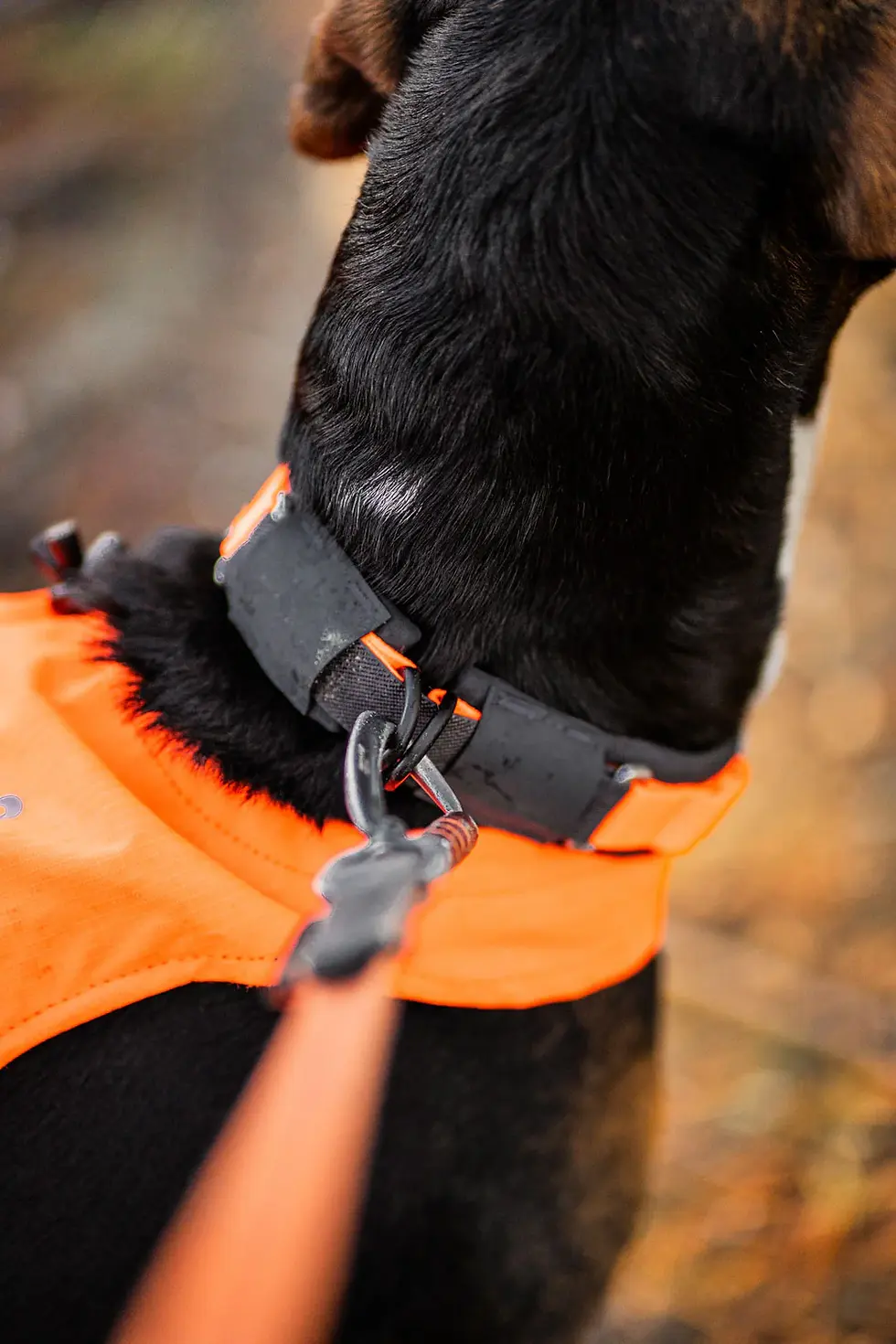 Miniaturbild: Nonstop Protector Collar