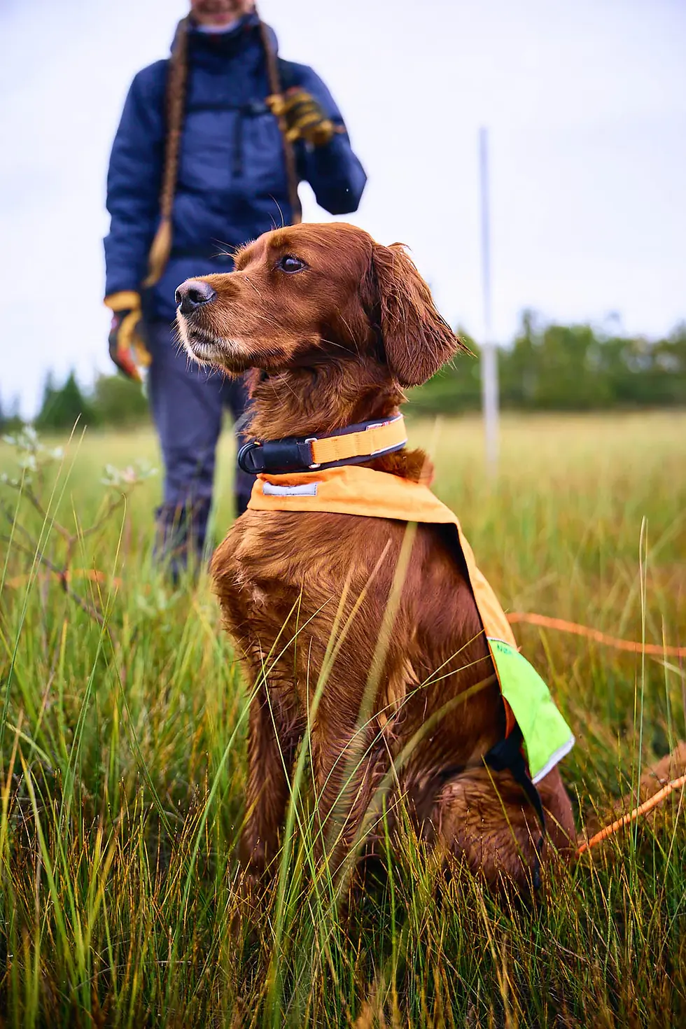Miniaturbild: Nonstop Protector Collar
