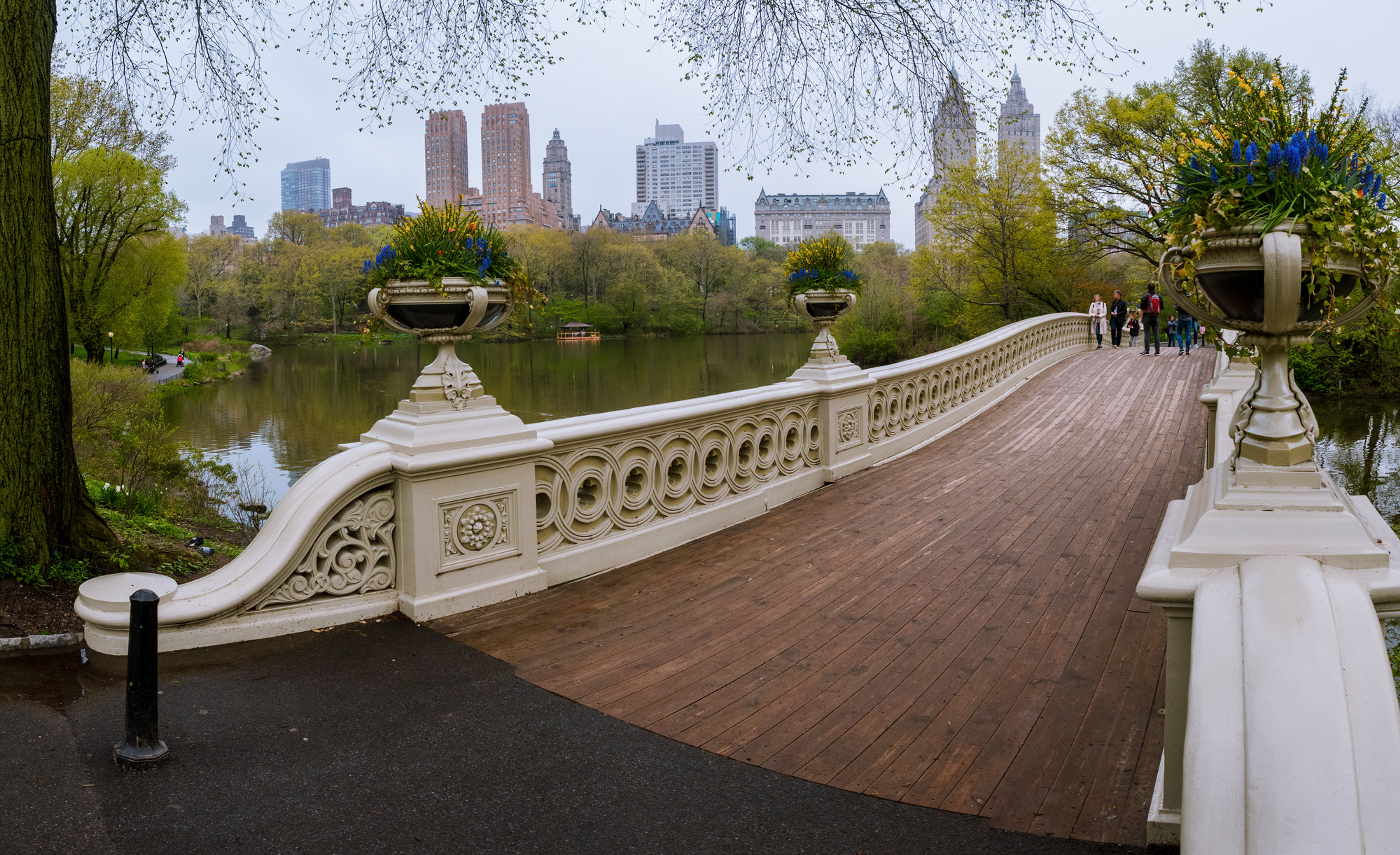 Bow Bridge in Central Park