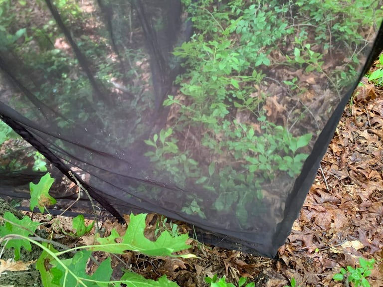 Miniatura: Malaise modelo Townes