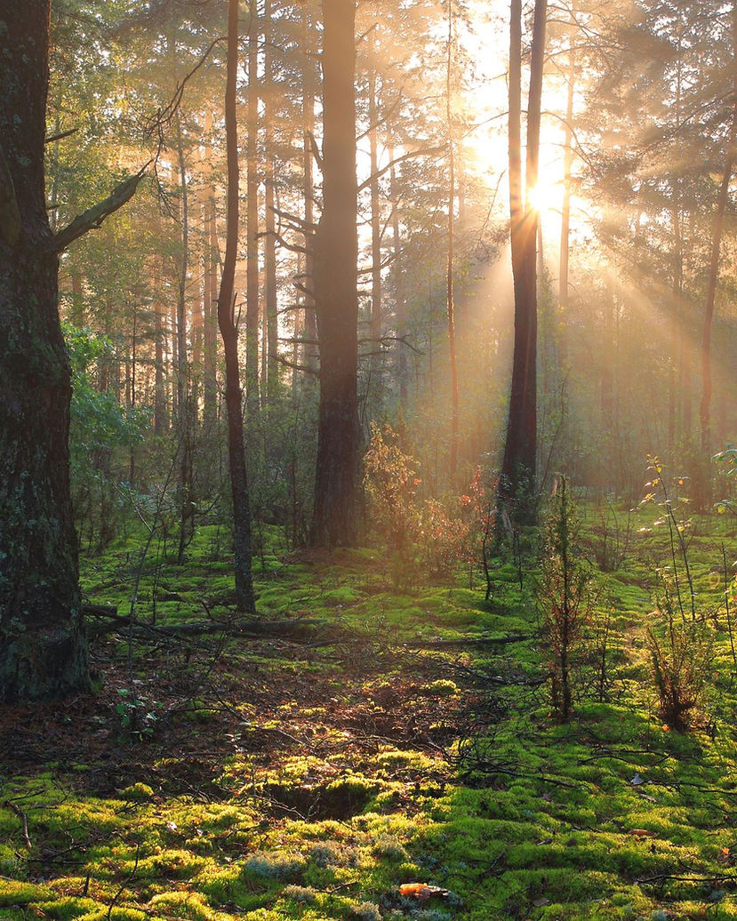 Design ohne Titel-4.jpg