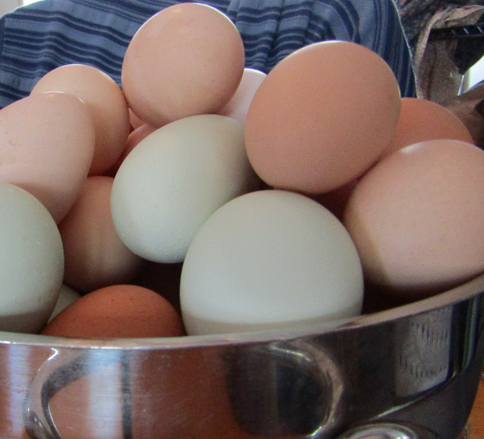Pasture Raised, Organic grain fed chicken eggs