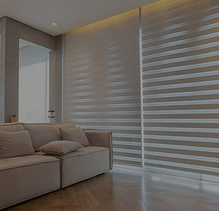 dual vision_edited.jpg