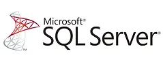 SQL-Server.webp