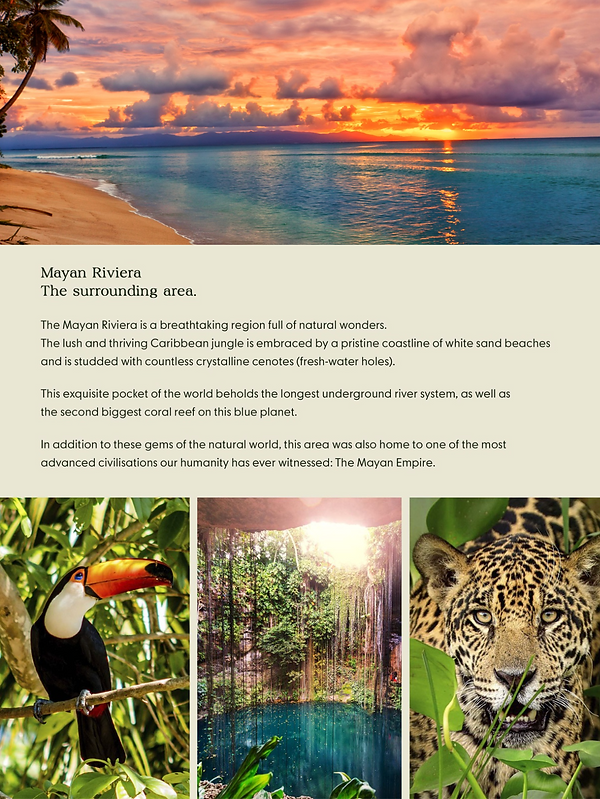 Screenshot 2025-11-07 at 11.04.58.png