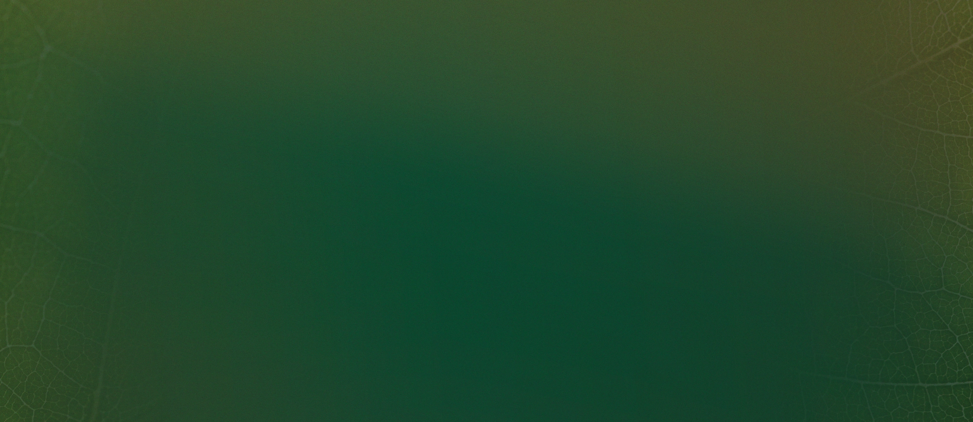 texutre banner.webp