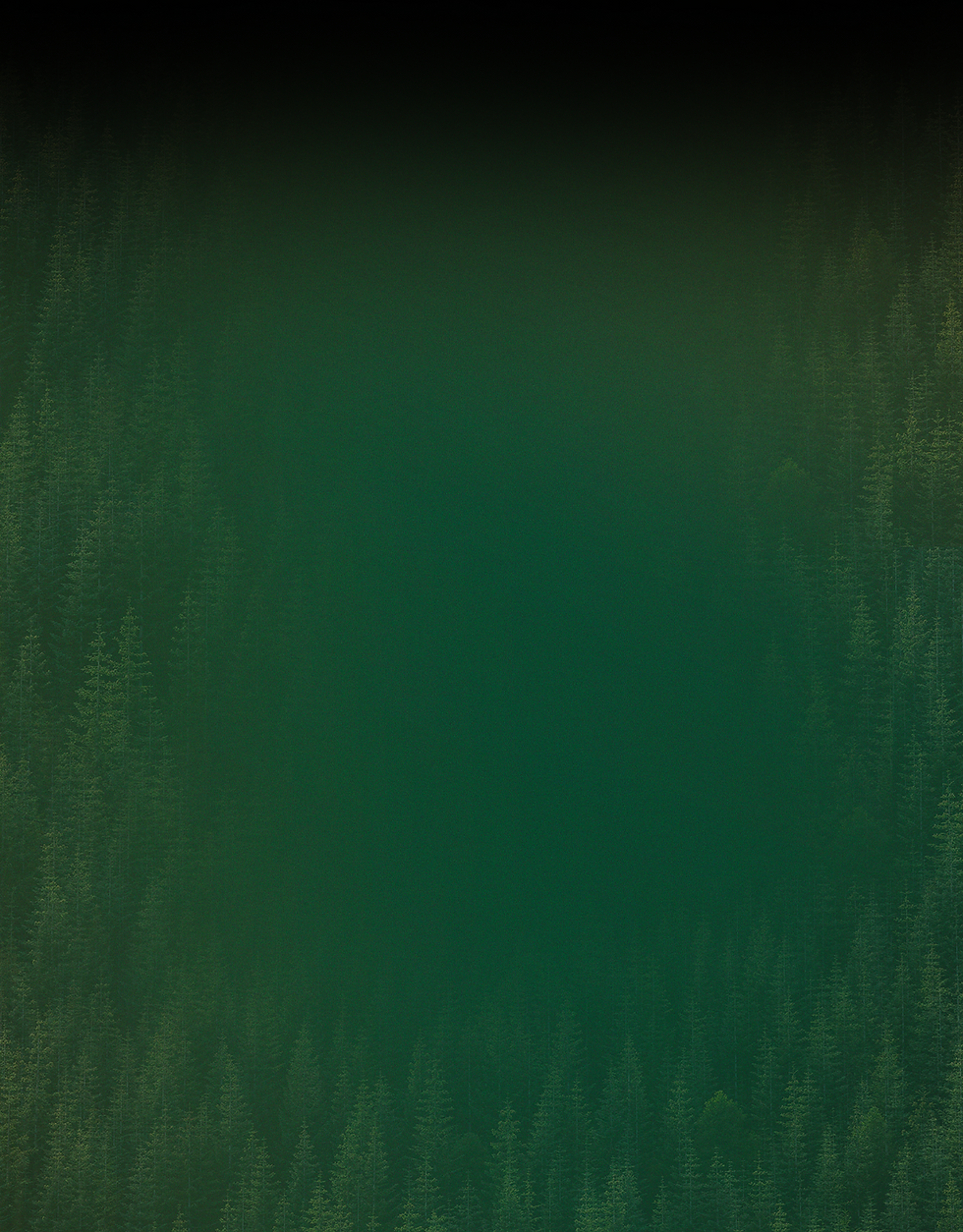 Tree Background 4.png