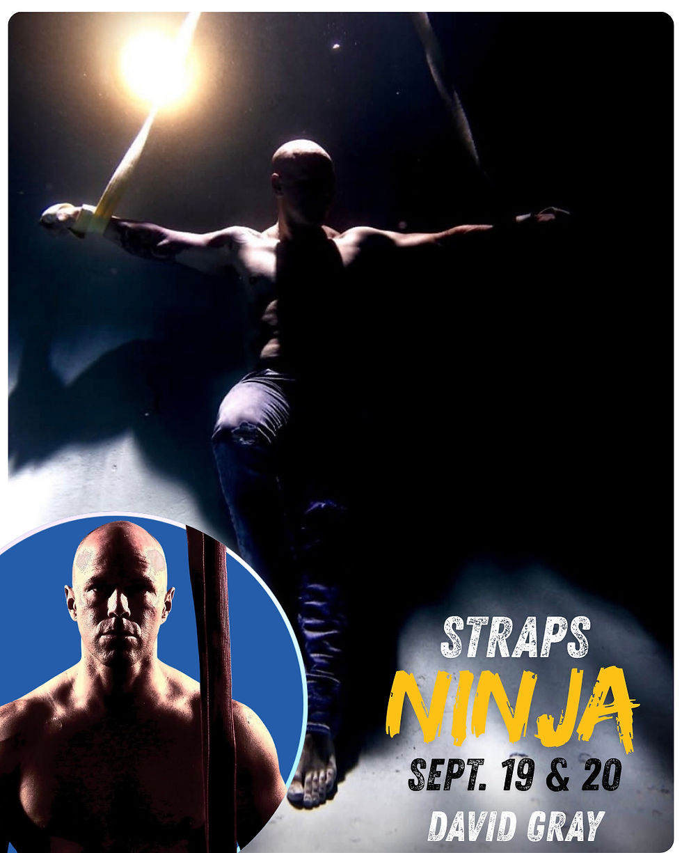 Strap Ninja Workshops