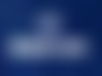 Saksliste årsmøte 2023