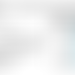 SMWS: long-term borrowing vs increased user rates