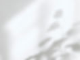 bg04.jpg