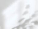 bg04.jpg