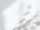 bg04.jpg