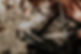 background2.jpg