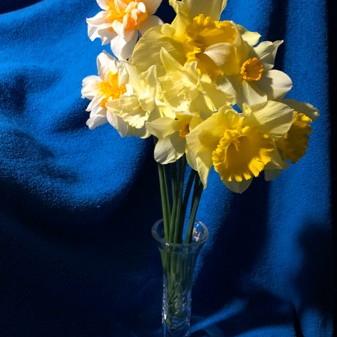 Class 02 / Julia Lilley