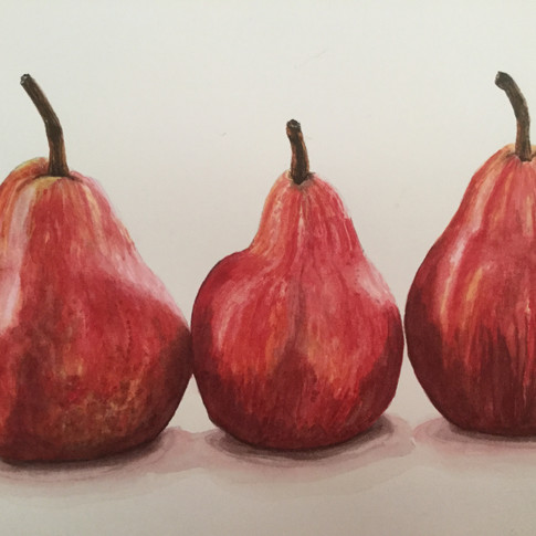 Art display / Denise Pocock