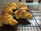 Bánh sừng bò - Croissant