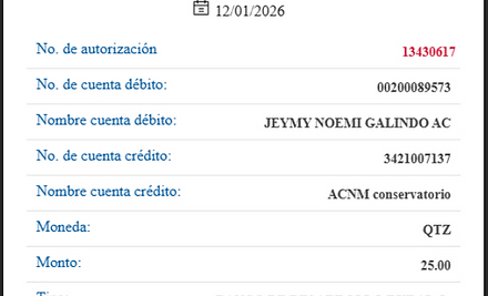 Ejemplo Boleta.jpg
