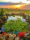 IMG_2682.jpeg