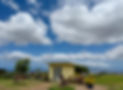 IMG_4752 2.jpeg