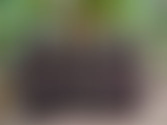 cmc Jai Christo & Jai Rani Provinces Celebrate Golden and Silver Jubilees