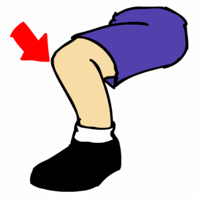 knee.gif