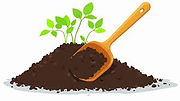 soil.jpeg