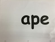 ape.JPG