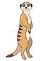 meerkat.jpeg