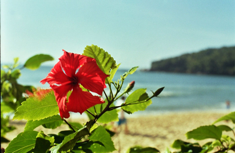 _2A_00171_edited.jpg