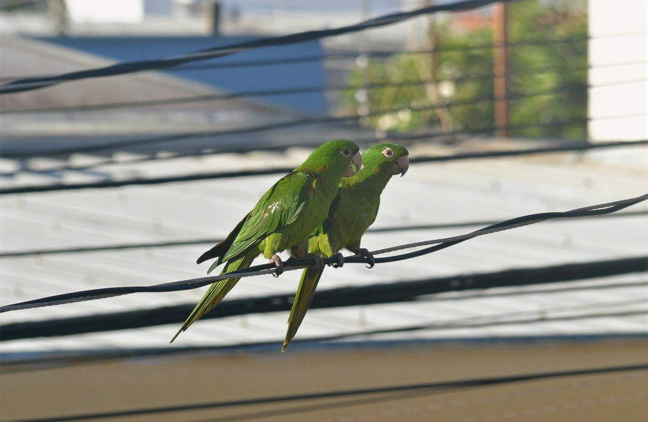 DSC_0047_edited.jpg