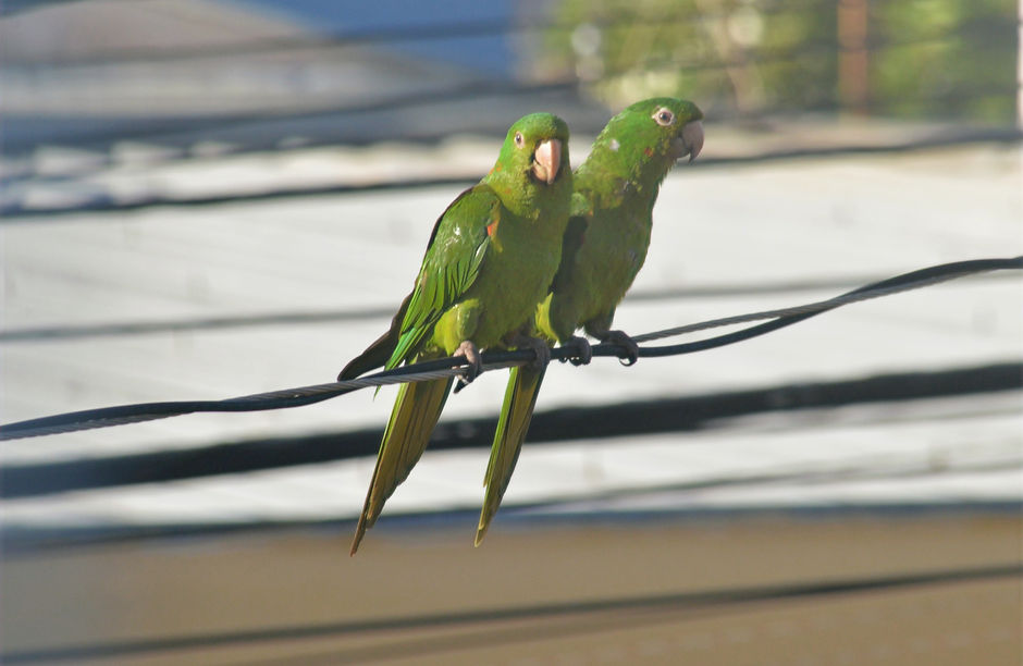 DSC_0048_edited.jpg