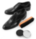 shoe-care.png