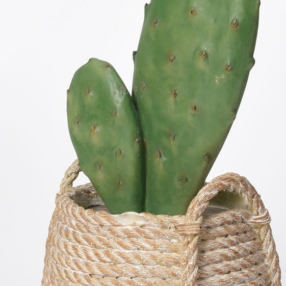 Thumbnail: Green Cactus & Succulents Resin Decor