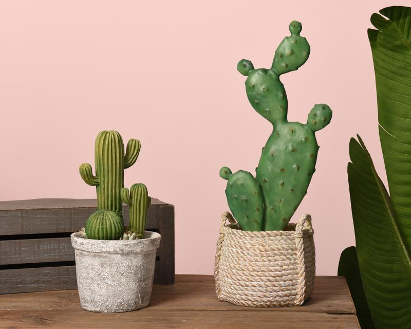 Thumbnail: Green Cactus & Succulents Resin Decor