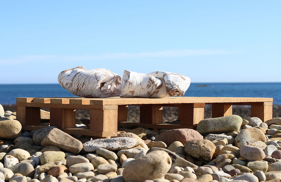 'Carnal (Broad Stones)', 2017