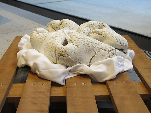 Coddled, 2017 (4) 2000px 75dpi.jpg