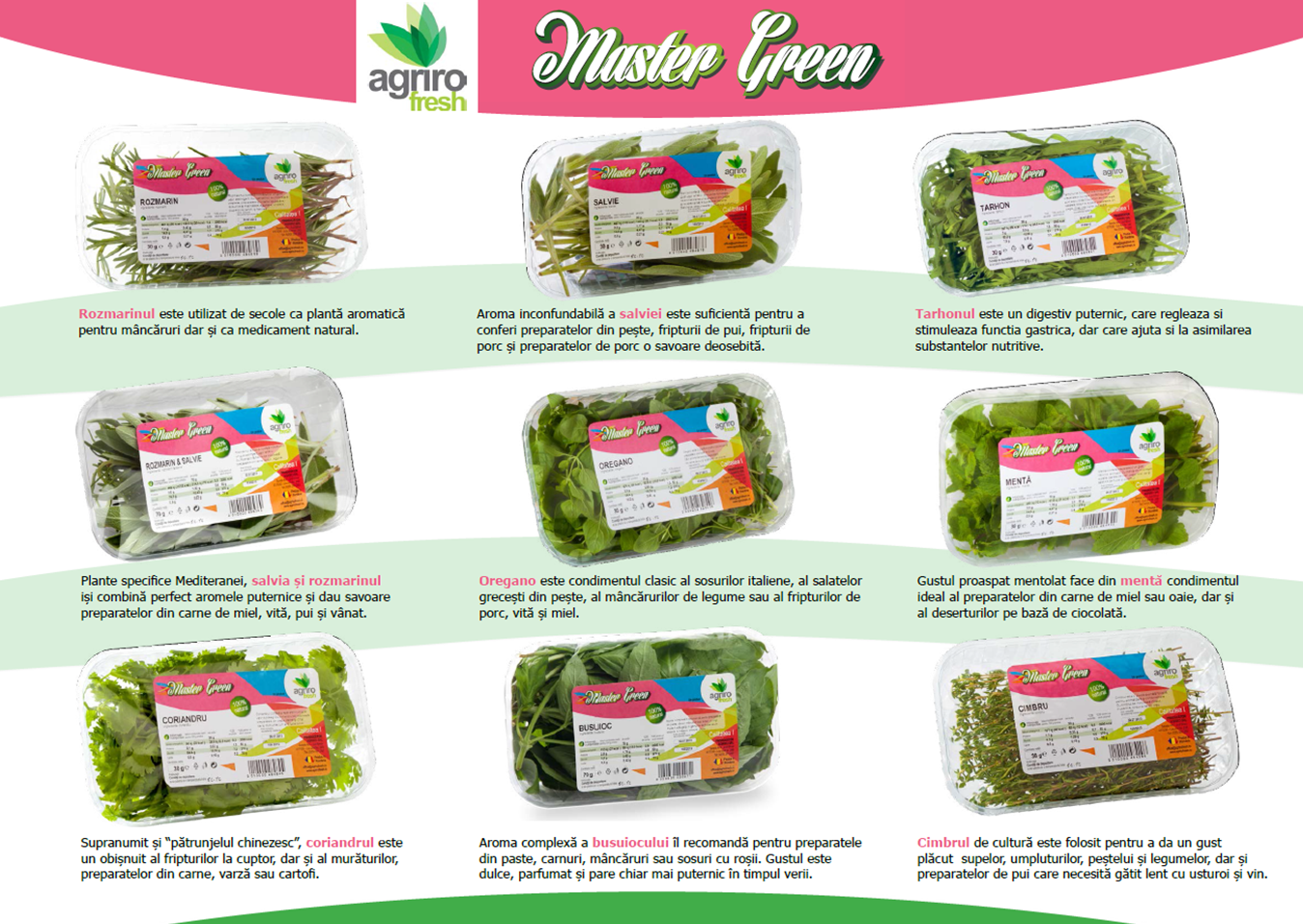 Tablou plante aromate