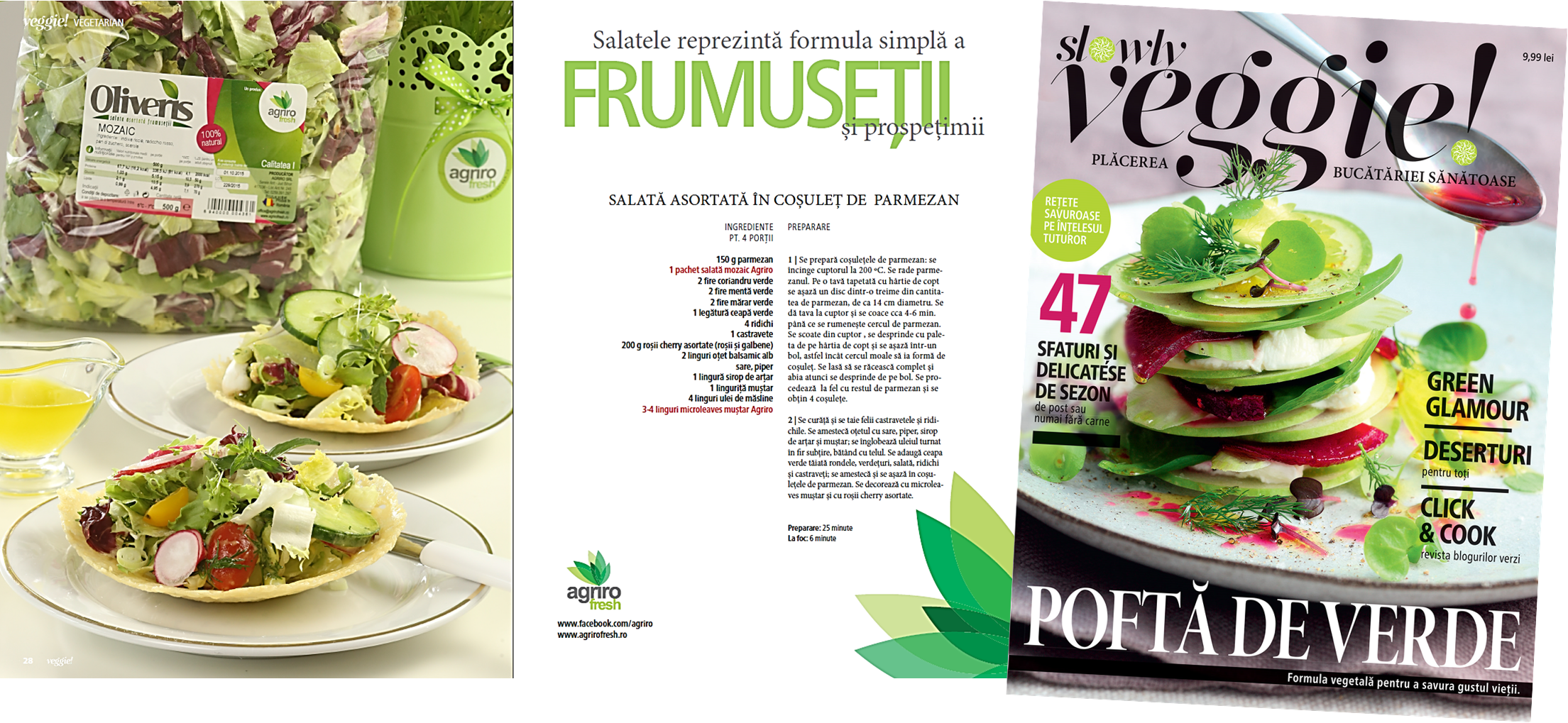 Proiect Revista Slowly Veggie